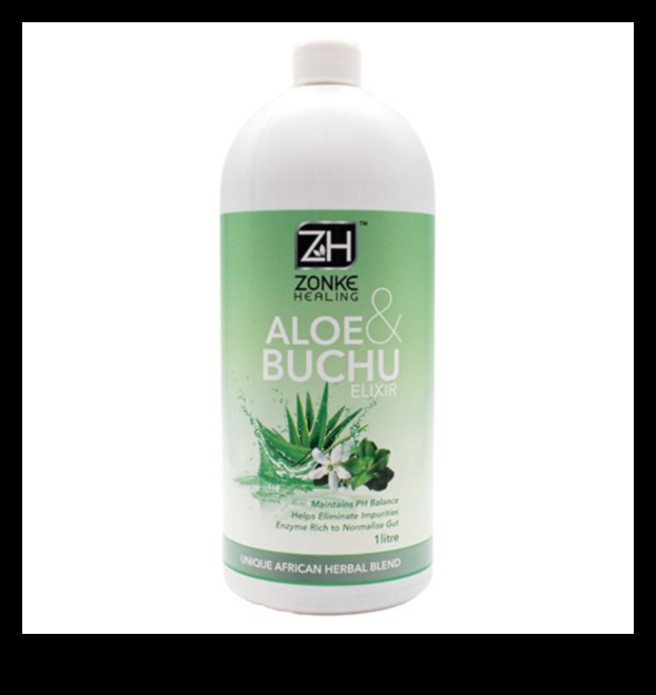 Aloe İksiri: Taze Aloe Vera'nın Doğal İyiliğini Keşfetmek