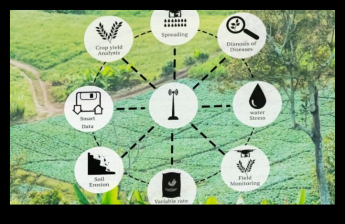 Pixel Perfect Green Power: Çevresel Teknolojide Hassasiyete Ulaşmak