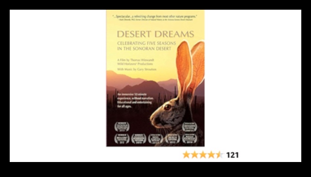 Desert Dreaming: Egzersizinizi açık hava zorluklarıyla ısıtın