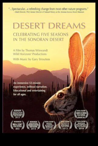 Desert Dreaming Spor Salyası’ndan çık ve Sonoran Çölünde Ter