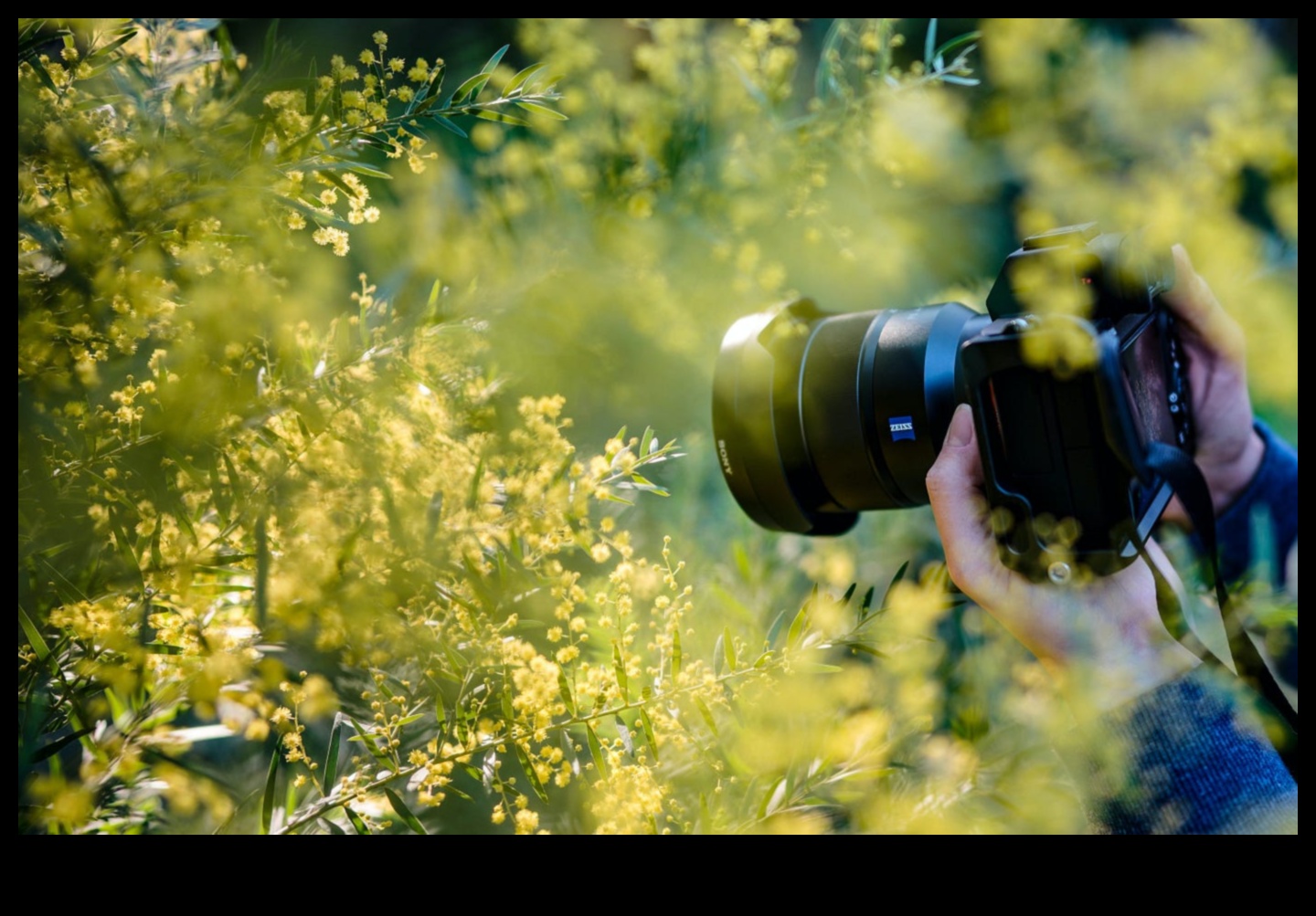 Lens Mirası: Kapsamlı Fotoğraf Eğitimi ile Ustalık Yolculuğu